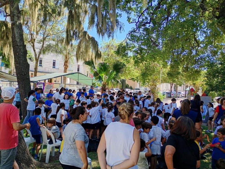 Junta de Discapacidad